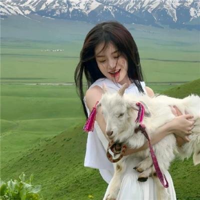 超级少女第四季 在线观看封面